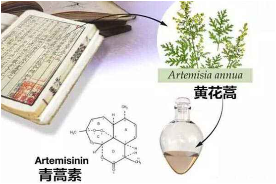 压球,压球（中国）：向中医药看齐，与世界共享中医药文化(图1)